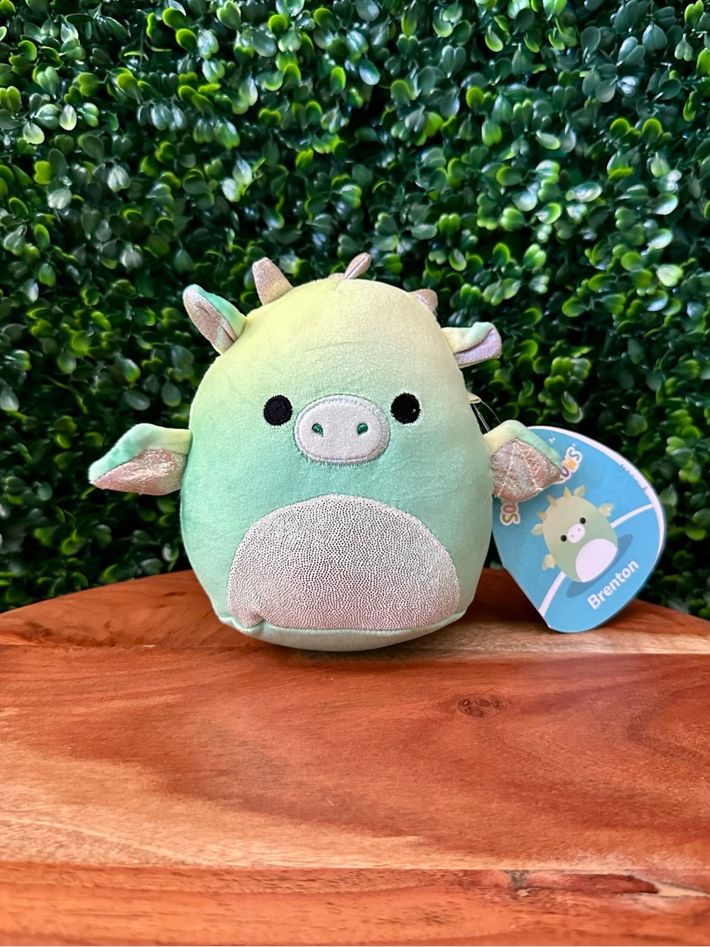 Brenton the Dragon 5” Scented Squishmallow